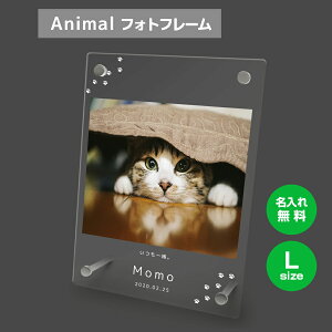 yꖳz tHgt[ L ybg L ˂ lR ybgObY ʐ^ ʐ^ ʐ^  O    tHgX^h ybgpi AN Mtg 