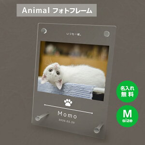 yꖳz tHgt[ M ybg L ˂ lR ybgObY ʐ^ ʐ^ ʐ^  O    tHgX^h ybgpi AN Mtg 