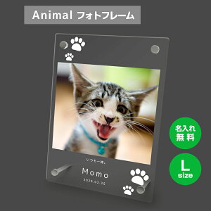 yꖳz tHgt[ L ybg L ˂ lR ybgObY ʐ^ ʐ^ ʐ^  O    tHgX^h ybgpi AN Mtg 