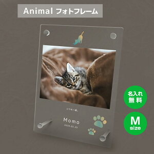 【名入れ無料】送料無料 フォトフレーム M ペット 猫 ねこ ネコ ペットグッズ 写真立て 写真入れ 写真たて 名入れ 名前入り 文字入れ 仏具 動物 フォトスタンド ペット用品 アクリル ギフト