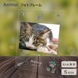 【名入れ無料】送料無料 フォトフレーム ペット 猫 ねこ ネコ ペットグッズ 写真立て 写真入れ 写真たて 名入れ 名前入り 文字入れ 仏具 動物 フォトスタンド ペット用品 アクリル ギフト メモリアル フォト フレーム ペットメモリアル メモリアルグッズ 誕生日 記念日