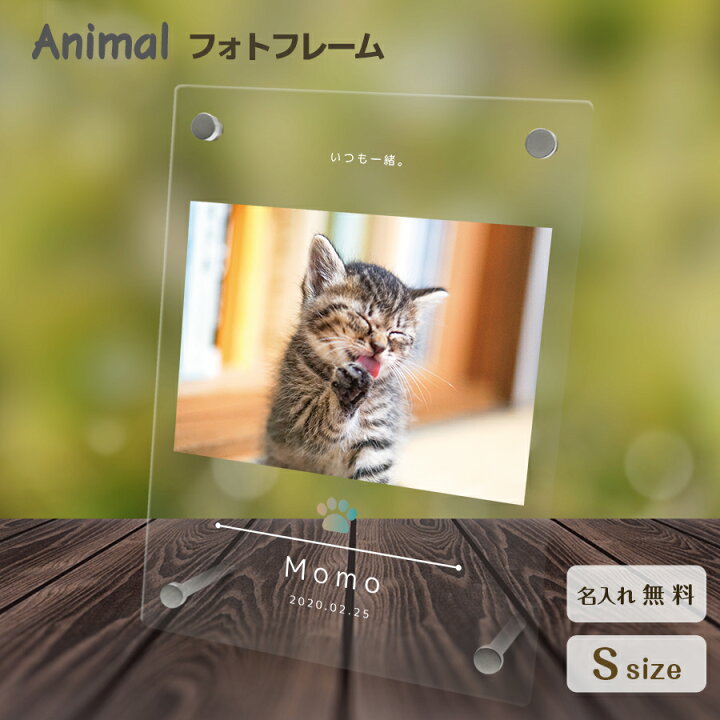 楽天市場 名入れ無料 送料無料 フォトフレーム ペット 猫 ねこ ネコ ペットグッズ 写真立て 写真入れ 写真たて 名入れ 名前入り 文字入れ 仏具 動物 フォトスタンド ペット用品 アクリル ギフト メモリアル フォト フレーム ペットメモリアル メモリアルグッズ 誕生日