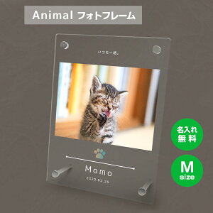 yꖳz tHgt[ M ybg L ˂ lR ybgObY ʐ^ ʐ^ ʐ^  O    tHgX^h ybgpi AN Mtg 