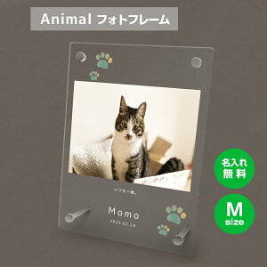 yꖳz tHgt[ M ybg L ˂ lR ybgObY ʐ^ ʐ^ ʐ^  O    tHgX^h ybgpi AN Mtg 