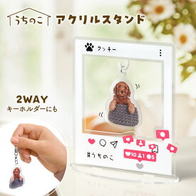 【オーダーメイド】名入れ アクリルスタンド ペット 写真 インスタ風 キーホルダー オリジナル アクスタ アクリル フォト 誕生日 プレゼント メモリアル 写真たて フォトスタンド 誕生日 出産祝い 国産 日本製 かわいい うちのこ 記念 想い出