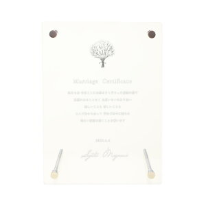 yꖳz ؖ ݑ AN AN{[h NA IWi j EFfBO v[g X^h CeA t[    O Mtg v