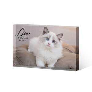 yI[_[Chzybgʔv KXubN CeA tHgt[ NX^ v[g  ybg  d ʔv e KX  ʐ^ LO  ʐ^ vg A 