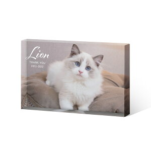 yI[_[Chzybgʔv KXubN CeA tHgt[ NX^ v[g  ybg  d ʔv e KX  ʐ^ LO  ʐ^ vg A 