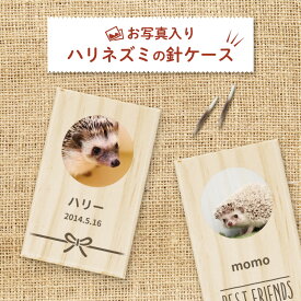 楽天市場 ハリネズミ 名前の通販