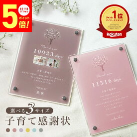 【ありがとうを伝える】 子育て感謝状 フォトフレーム 名入れ おしゃれ かすみ草 写真立て アクリル 両親へのプレゼント 挙式 披露宴 ウェディング ウエディング ブライダル ギフト 成人 両親贈呈用 両親贈呈品 送料無料