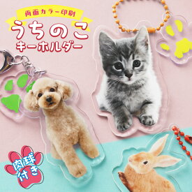 【期間限定ポイント3倍】 肉球 うちのこ キーホルダー ペット 写真入れ お名前 両面 子犬 小型犬 大型犬 犬 いぬ 愛犬 お散歩 ドッグラン ワンポイント メモリアル ギフト プレゼント アクリル 名入れ プレゼント ベビー 赤ちゃん
