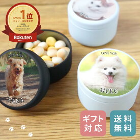 【かわいく持ち歩ける】 ペット おやつ缶 写真入り 名入れ ケース 名前入り 名入れ無料 箱 いぬ ねこ イヌ ネコ ネーム入り おやつ入れ ボックス トリーツケース コンパクト お散歩 持ち歩き 保管 入れ物 小物入れ ペット 記念品 ギフト プレゼント 贈り物 送料無料
