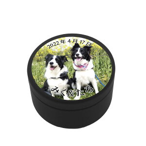 y킢z ybg  ʐ^  P[X O ꖳ   ˂ Ck lR l[  {bNX g[cP[X RpNg U 