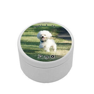 y킢z ybg  ʐ^  P[X O ꖳ   ˂ Ck lR l[  {bNX g[cP[X RpNg U 