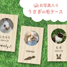 楽天市場 うさぎ トリミングの通販