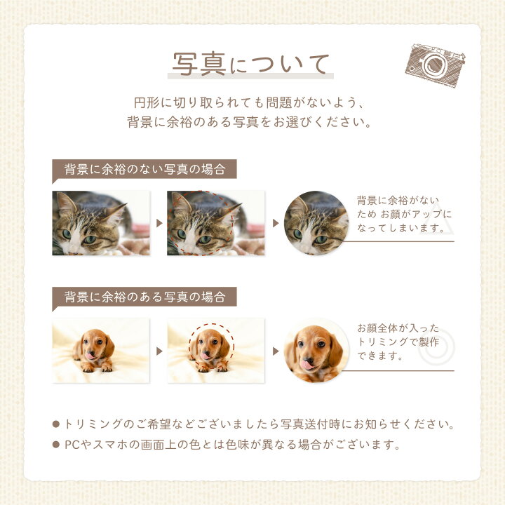 楽天市場 名入れ無料 メール便 送料無料 猫のひげケース 写真 ヒゲ 髭 ネコ ねこ メモリアル ペット お名前入り オリジナル 名入れ 保管 お守り 猫のひげ入れ 動物 名前 かわいい プレゼント ギフト 松製 可愛い 箱 記念品 思い出 毛入れ ネクストア