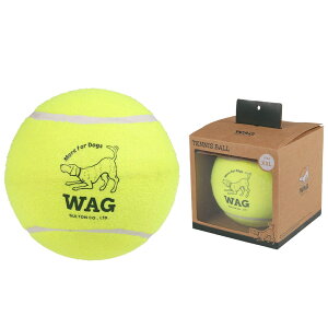 DULTON _g TENNIS BALL ejX{[ ybgpi p v[g