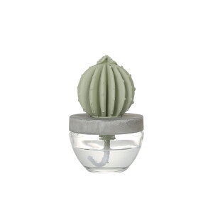 DULTON _g CACTUS FRAGRANCE DIFFUSER JN^X tOX fBt[U[ T{e  ֐ rO 