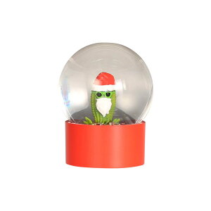 DULTON �_���g�� WATER GLOBE SANGLATUS �E�H�[�^�[�O���[�u �T���O���^�X �X�m�[�h�[�� �T�{�e�� �N���X�}�X �T���^