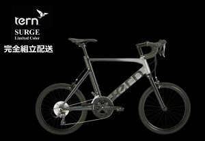 tern(^[) SURGE "T[W" 2024fJ[ "FADING METAL"