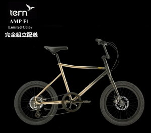 tern(^[) AMP F1 "Av F1" 2024f J[ BLACK CHAMPAGNE