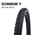 SCHWALBE(シュワルベ) BLACK JACK birdy用 "18×1.90" タイヤ 18インチ