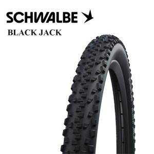 SCHWALBE(Vx) BLACK JACK "ubNWbN" birdyp 18×1.90"