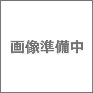 tern(^[) 650×25C RIP i ^C