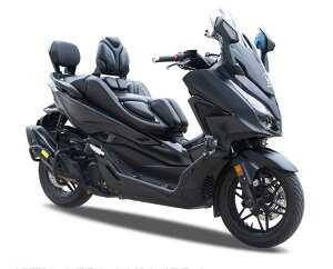 z_ tHc@250 350 NSS 350 Forza 350 A_[t[Lbg GWK[hLbg ubN oCNp[c JX^p[c  I[goC Lvc[Oy񂹁z