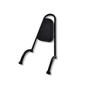 �z���_ ���u��250 500 �o�C�N �o�b�N���X�g �w������ �V�[�V�[�o�[ �p�b�h�t�� �U��~�� ���A ��q �T�C�Y�I���y���񂹁z