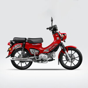 NXJu CC110 CC50 {fBXebJ[ V[ h ԑ {fB oCNpi  I[goC AW   JX^y񂹁z