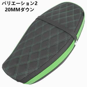 JTL Z900RS V[g _uV[g p oCNV[g 20MM_E 35MMAbv Abv ^]œK hXAbv K NbV V[g U[ KAWASAKI 