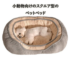 "ybgxbh GARp ӂ݂ӂݔLxbh  NbV ``ӂӂg o[VuʔN 􂦂 "