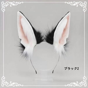 "T J`[V RXv ӂӎ Op  jp IIJ~ ӂ b COt nEB  A AkrX p[eB[ w  ǂ̓ Cxg"