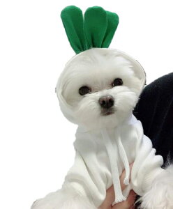 ybg  p[J[ H~ h[R[hX^C hbOEFA 킢 _炩 L ybgpi Rbg h R[g t@bV ӂӂ t[ht g h ^ U