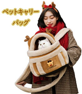 ybgLL[obOAobNpbNgʋCLOobOAbNobNAqqLpg[gybgP[W`FXgobO, SbN