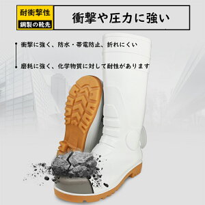 SC |c Z[teB[ c ƒC PVC h SC ϖ ϋv Z[teB[u[c O ƃu[c AEghA K[fjO Y HiH _ ނ Cu[c