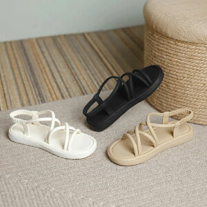 T_ V[Y C  r[T fB[X Xgbv r[T 傫TCY TCY ₷  X|[cT_ AEghA JWA y   t lC 