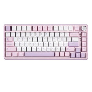 YUNZIIB75PRO75%�K�X�P�b�g�Q�[�~���O�L�[�{�[�h�������J�j�J���L�[�{�[�hBT/2.4G/�L�����C�����X�z�b�g�X���b�v����RGB�m�u�t���J�X�^���L�[�{�[�hMac/Win�p�Z�K�F�؎擾(���~���N�X�C�b�`)