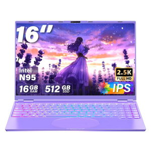 16�C���`�m�[�g�p�\�R��CeleronN95�yWin11����/MSOffice2019���ځz�p�\�R���m�[�g/�C���e������CPU1.7GHz~3.4GHz/2.5K�t��IPS�𑜓x(2560*1600)/������DDR4