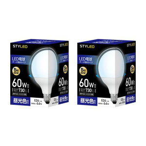 �X�^�C���hLED�d��2�Z�b�gE26�����F60W�`�����{�[���`�L�z���^�C�v5�N�ۏ�HDG60D2