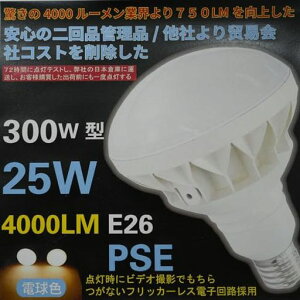 �y������4000���[�����z�ƊE�g�b�v�N���X300W�^25W��4000lm�̖��邳LED���O�p�����`�d��PAR38E26