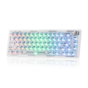 EPOMAKER HE65 V2 TMR �z�[�����ʎ��Q�[�~���O�L�[�{�[�h 2.4GHz/BT/USB�L�� �{�����[���m�u�t��