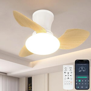 �y�ɐÁE�����zTENKOO&YOU �V�[�����O�t�@�����C�g 52W 4,500lm ���^ ��65cm 7~10�� led �t�@���t���Ɩ� �V���@ ���F���� DC���[�^�[ ���t��] 6�i�K���� �����F �����F �d���F ������/�^�C�}�[�@�\