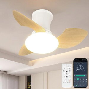 �y�ɐÁE�����zTENKOO&YOU �V�[�����O�t�@�����C�g 52W 4,500lm ���^ ��65cm 7~10�� led �t�@���t���Ɩ� ���F����