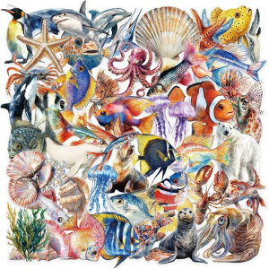 �����g���s�J���C�m�����X�e�b�J�[50���A�C�̓����A���A�L�k�A�ɒn�̐������ȂǁA�X�N���b�v�u�b�L���O�A���L�A�m�[�g�p�\�R���A�����A�A�[�g�N���t�g�ɍœK