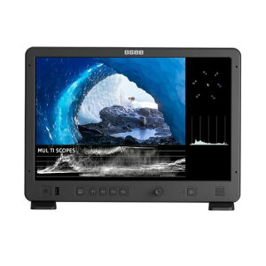 OseeMega15S�J�����t�B�[���h���j�^�[15.4�C���`�J���[�Z���t�L�����u���[�V�����A�����P�x1500�j�b�g�A1920x1080�t��HD�𑜓x�v���_�N�V�������j�^�[�AIPS�u���b�N�f�B�X�v���C4KHDMI3G-SDI