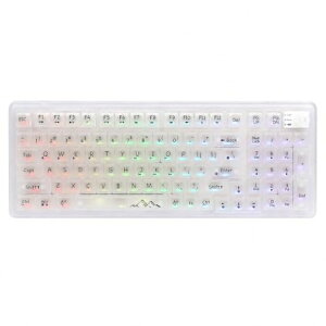 OUSEITECH EWEADN V99 �Q�[�~���O�L�[�{�[�h ���J�j�J�� �������L�[�{�[�h �������L�[�L���b�v 98�L�[ ���C�����X �z�b�g�X���b�v�Ή� RGB�o�b�N���C�g BT5.0/2.4G/USB-C �K�X�P�b�g����