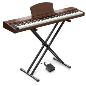 �y��p�X�^���h�t���zLongeye�����A�C�d�q�s�A�m88���Չ��ǂ�������MOLD2�ؐ��{�f�B���{��\�LMIDI�[�q�Ή��y�_���t��380��މ��F�ڒ��A���g���m�[���@�\�t��DREAM�������S�ҁA���K�Ƀs�b�^�c