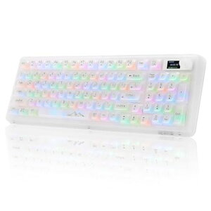 OUSEITECH EWEADN V99 �Q�[�~���O�L�[�{�[�h ���J�j�J�� �����L�[�{�[�h �����L�[�L���b�v 98�L�[ ���C�����X �z�b�g�X���b�v�Ή� RGB�o�b�N���C�g BT5.0/2.4G/USB-C �K�X�P�b�g����